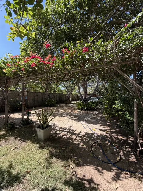 Pergolado florido — Barra Beach House, Fortim