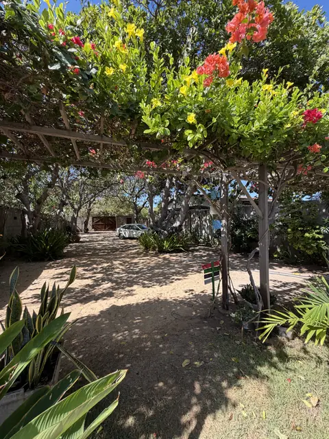 Pergolado florido — Barra Beach House, Fortim
