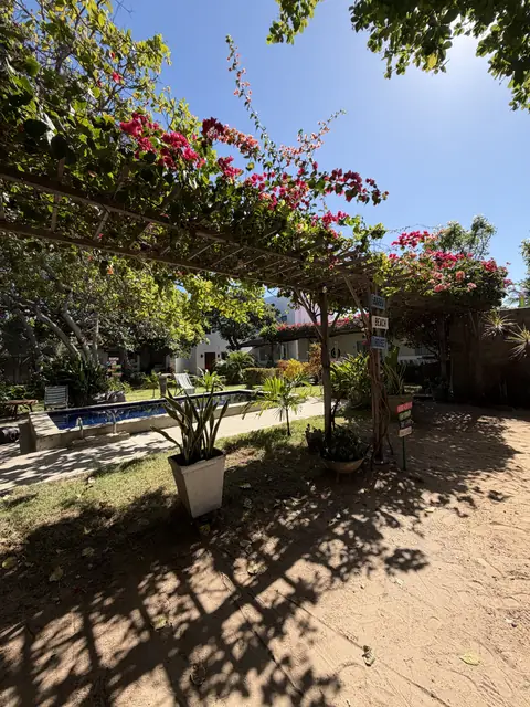 Pergolado florido — Barra Beach House, Fortim